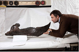 67-million-year-old Triceratops to call Carlton home