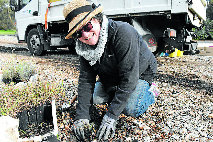 06_Planting-1.jpg