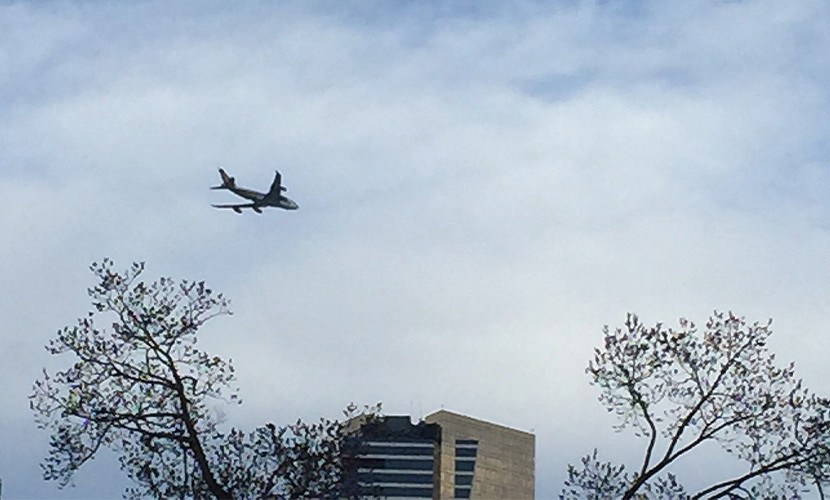 Re-elected Greens leader vows to help curb aircraft noise for East Melbourne