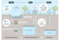 Public survey open on Princes Park stormwater harvesting project