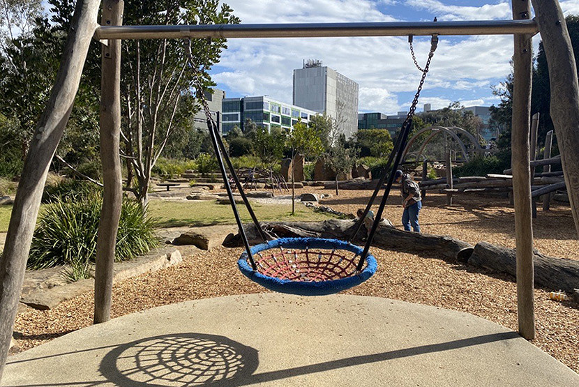 20-Royal-Park-Basket_swing.jpg