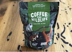 21-Column-Melbourne-Zoo-Coffee.jpg