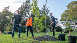 Tree planting season at Princes Park has begun