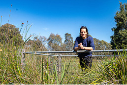 Council launches community engagement for renewal of Royal Park