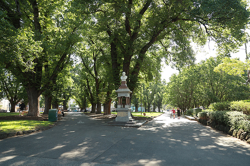 Councillors divided on parking as urban forest plans for Carlton and East Melbourne approved
