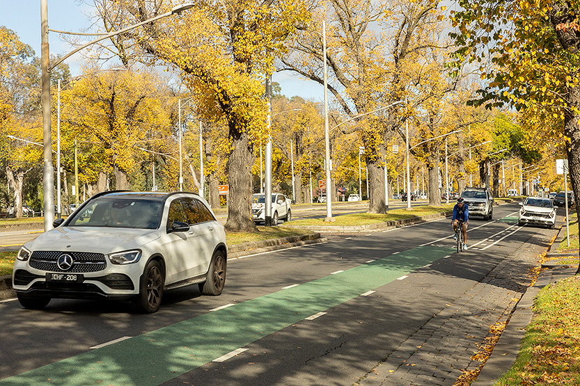 50-Bike-Lane-Update-1.jpg
