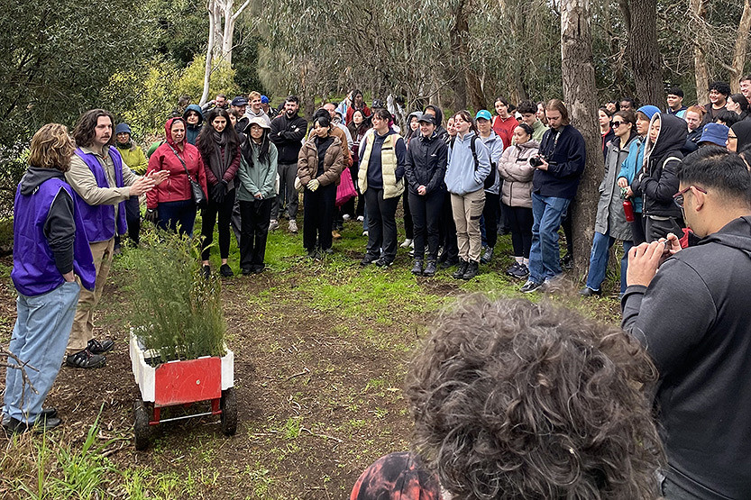 From climate voices to community action: James Henderson and the birth of Wattle