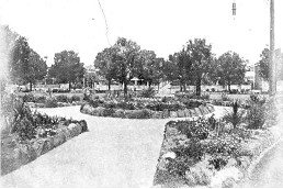 The changing face of Darling Square
