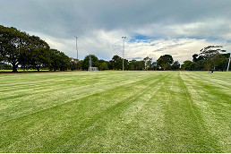 Crawford Oval upgrade completed at Princes Park