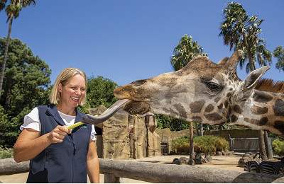 61-Zoo-Job-Cuts.jpg
