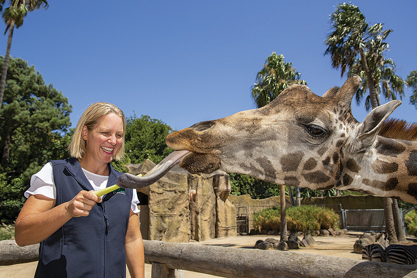 Union launches petition against zoo cuts