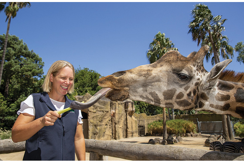 61-Zoo-Job-Cuts.jpg